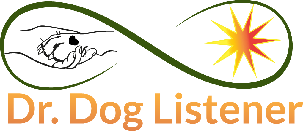 Dr. Dog Listener